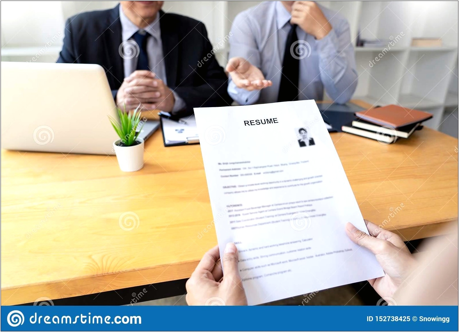 Resume Professional Summary Business Management