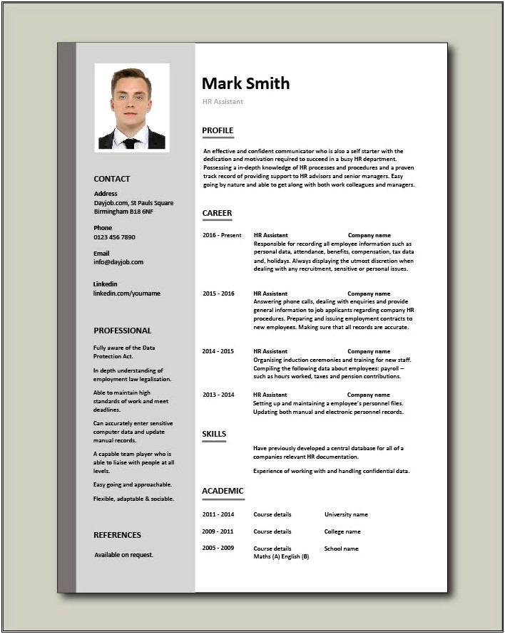 Resume Professional Summary Examples Human Resources