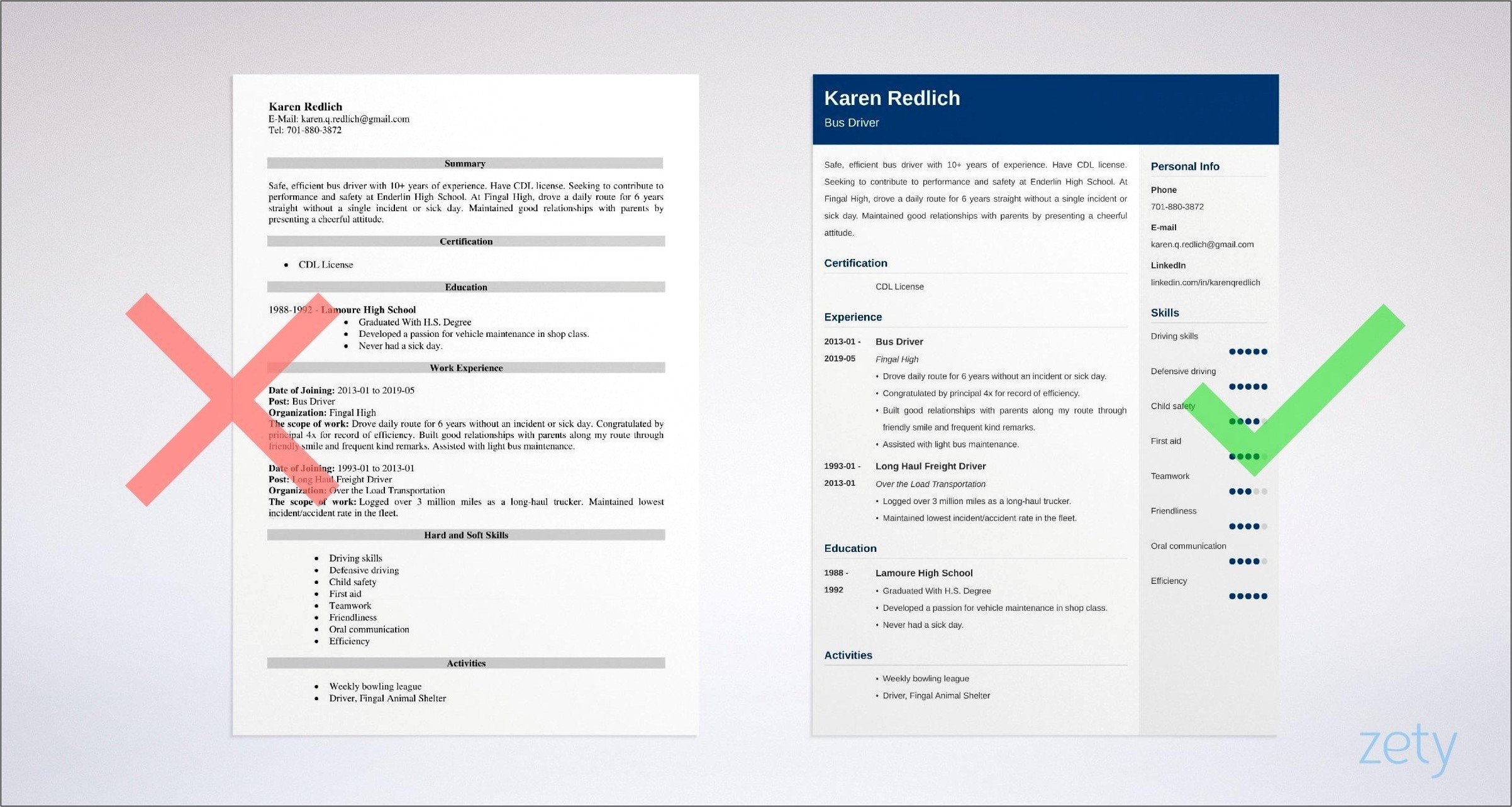 Resume Profile Examples Bus Driver