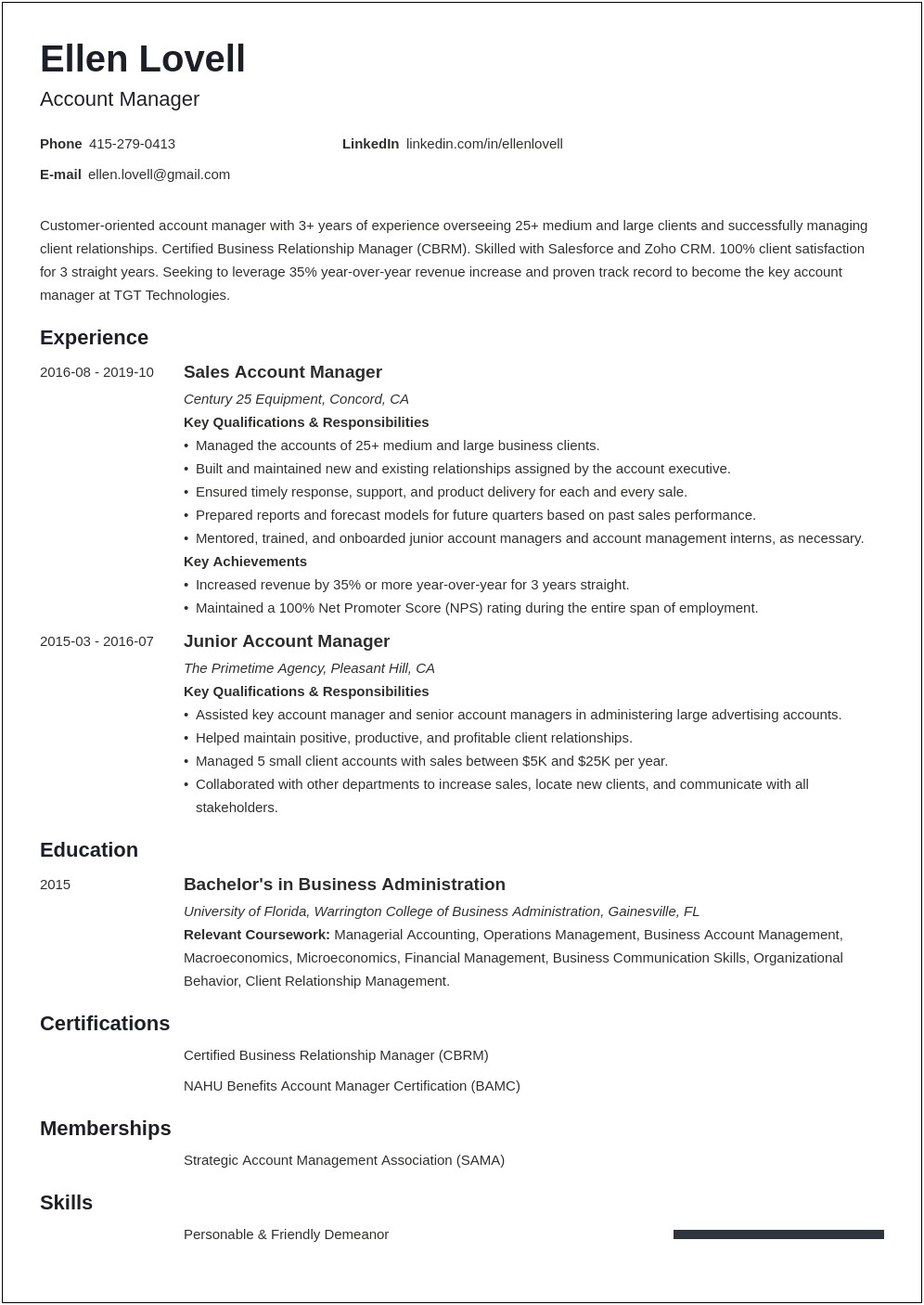 Resume Profile Examples For Account Manager