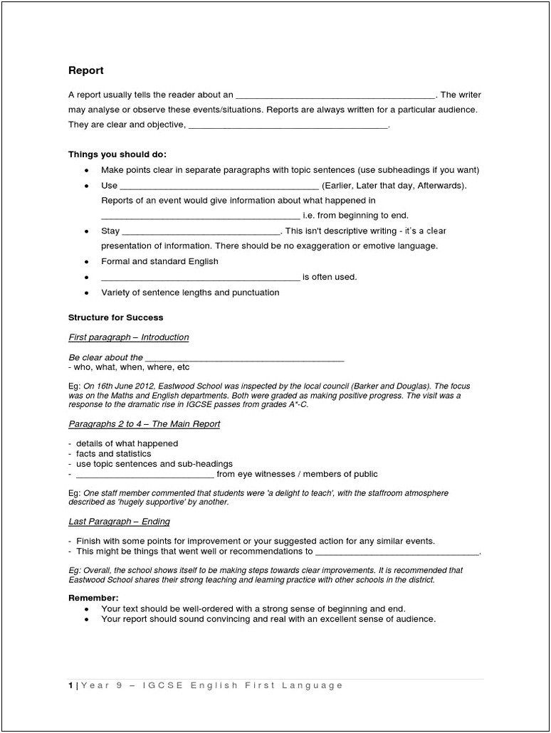 Resume Profile Examples It Report Writer