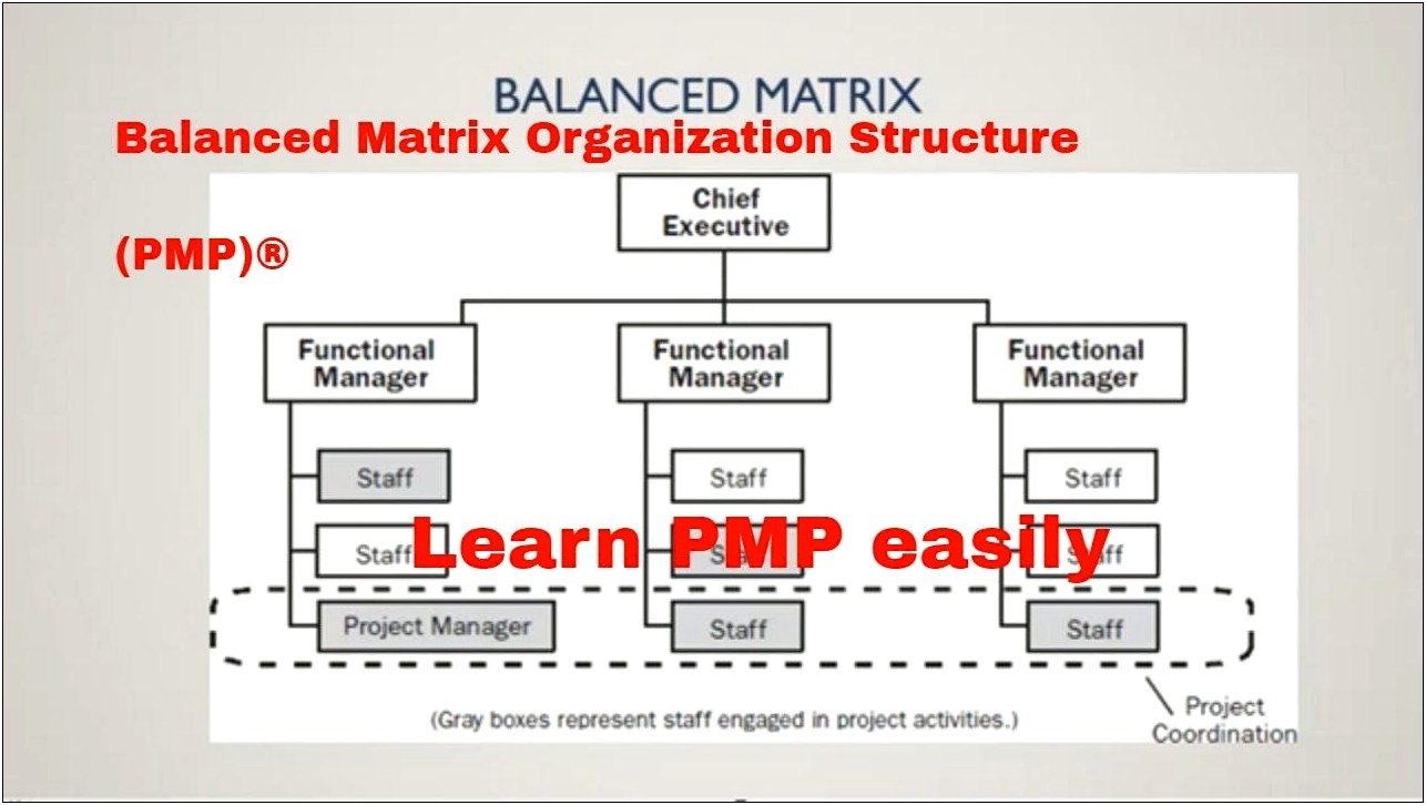 Resume Project Manager Matrix Organization