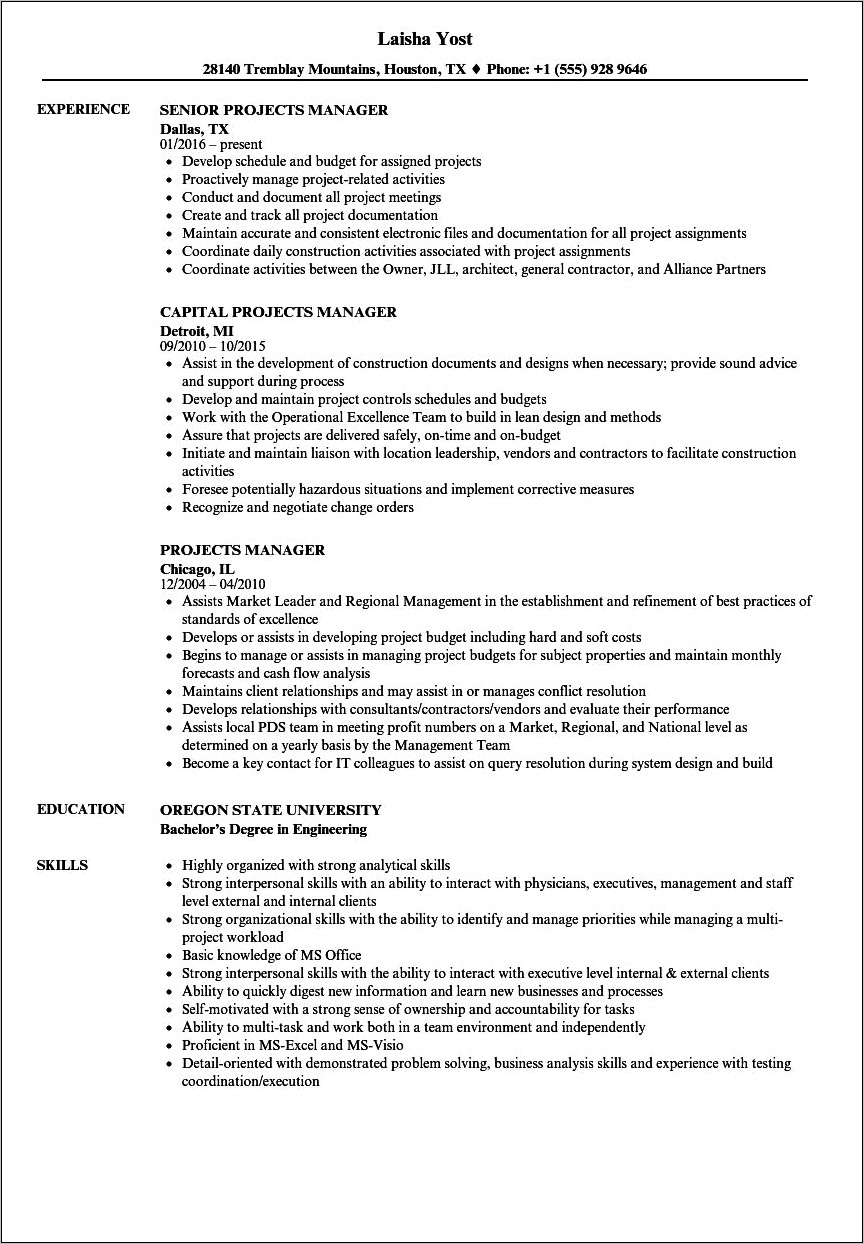 Resume Project Managers Project Guidelines