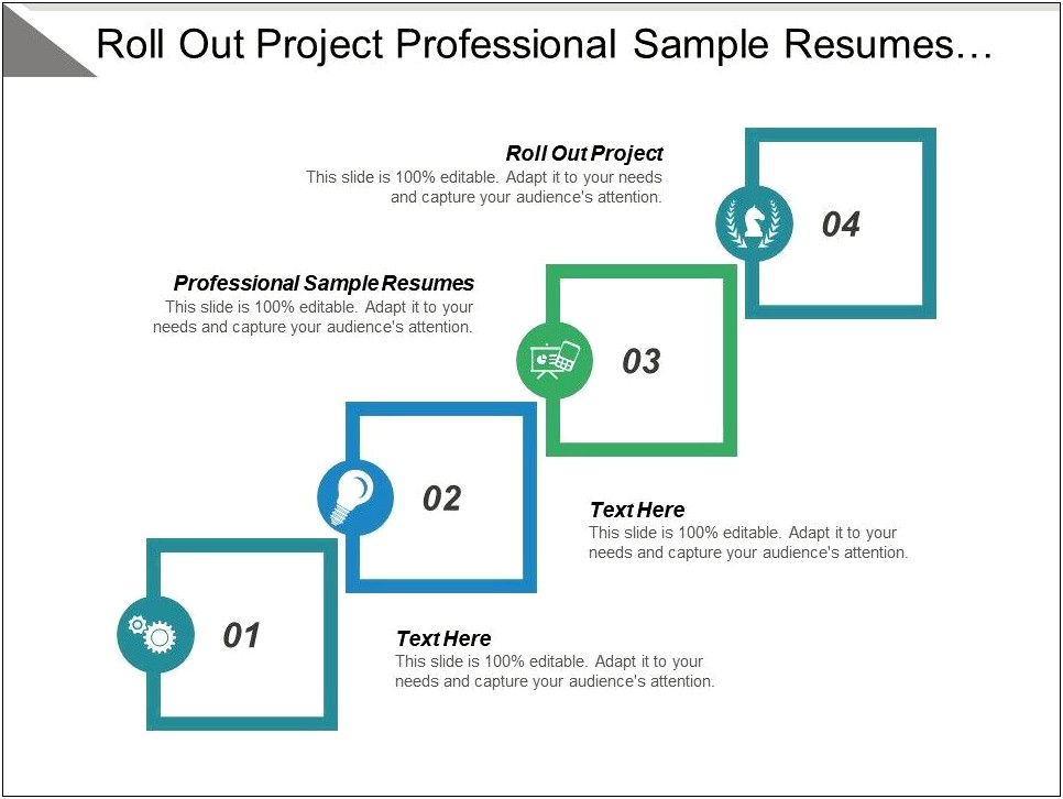Resume Project Rollout Manage Server Day To Day