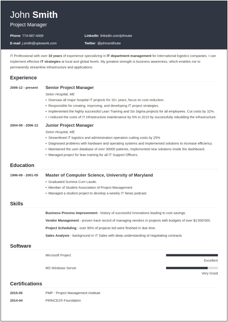 Resume Sample For An It Professional