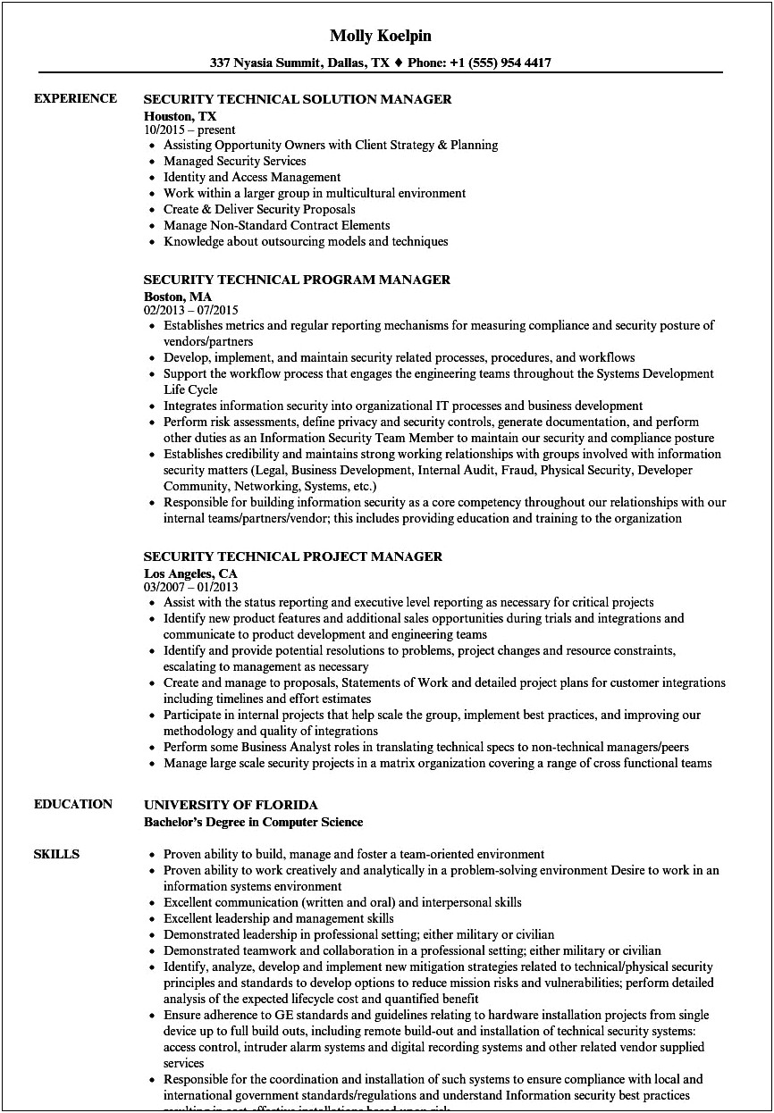 Resume Sample For Technical Manager