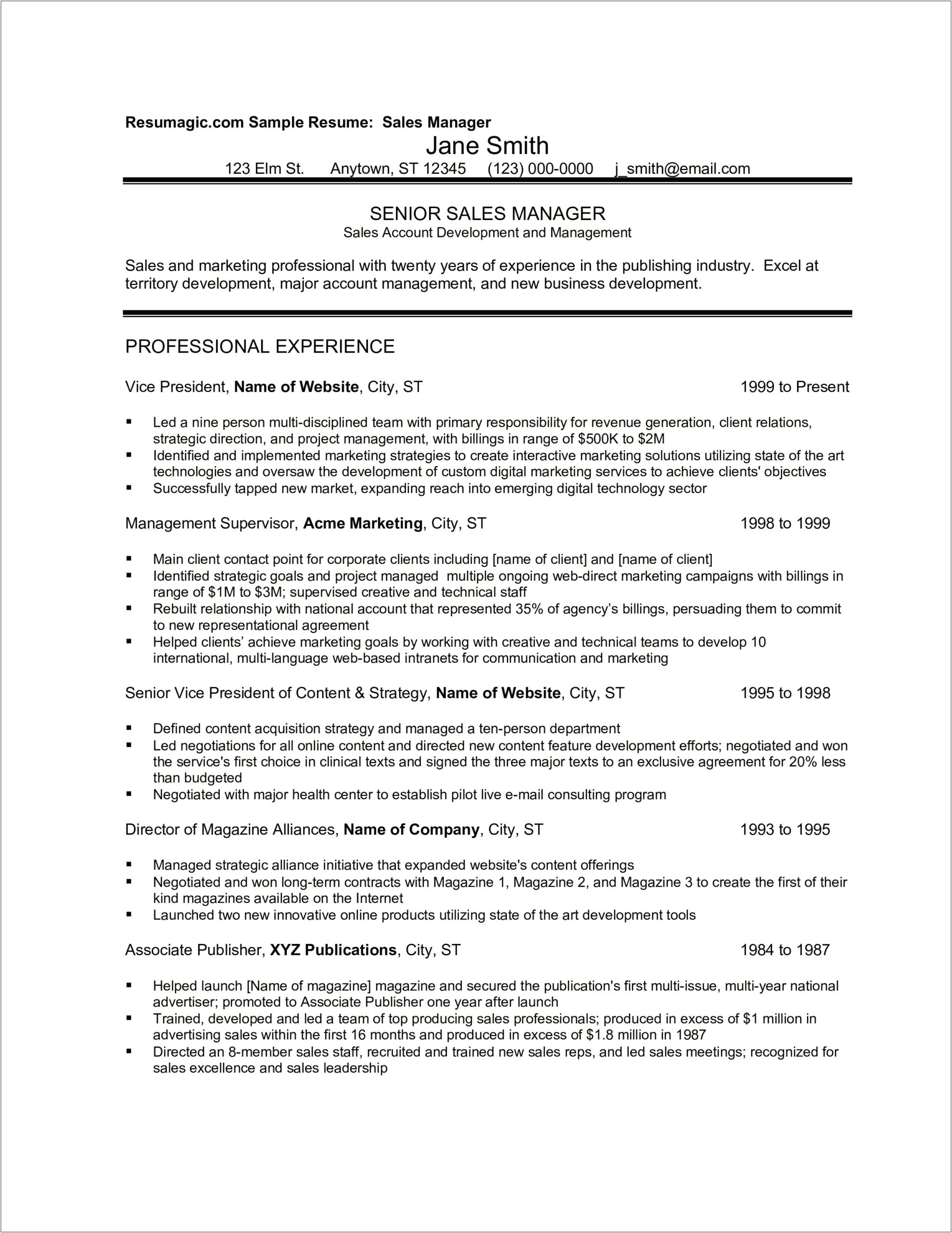 Resume Samples For Director Of Sales