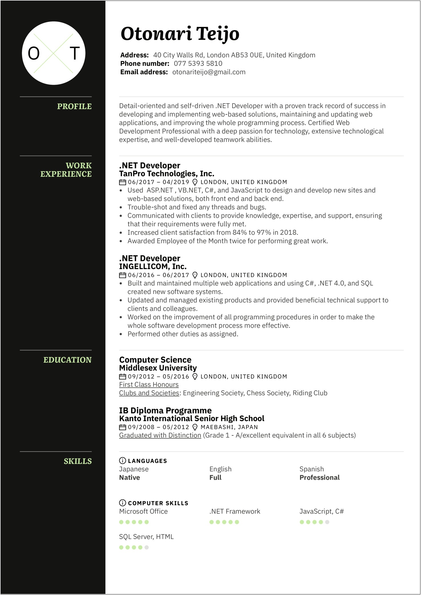Resume Samples For Experienced Professionals In Net
