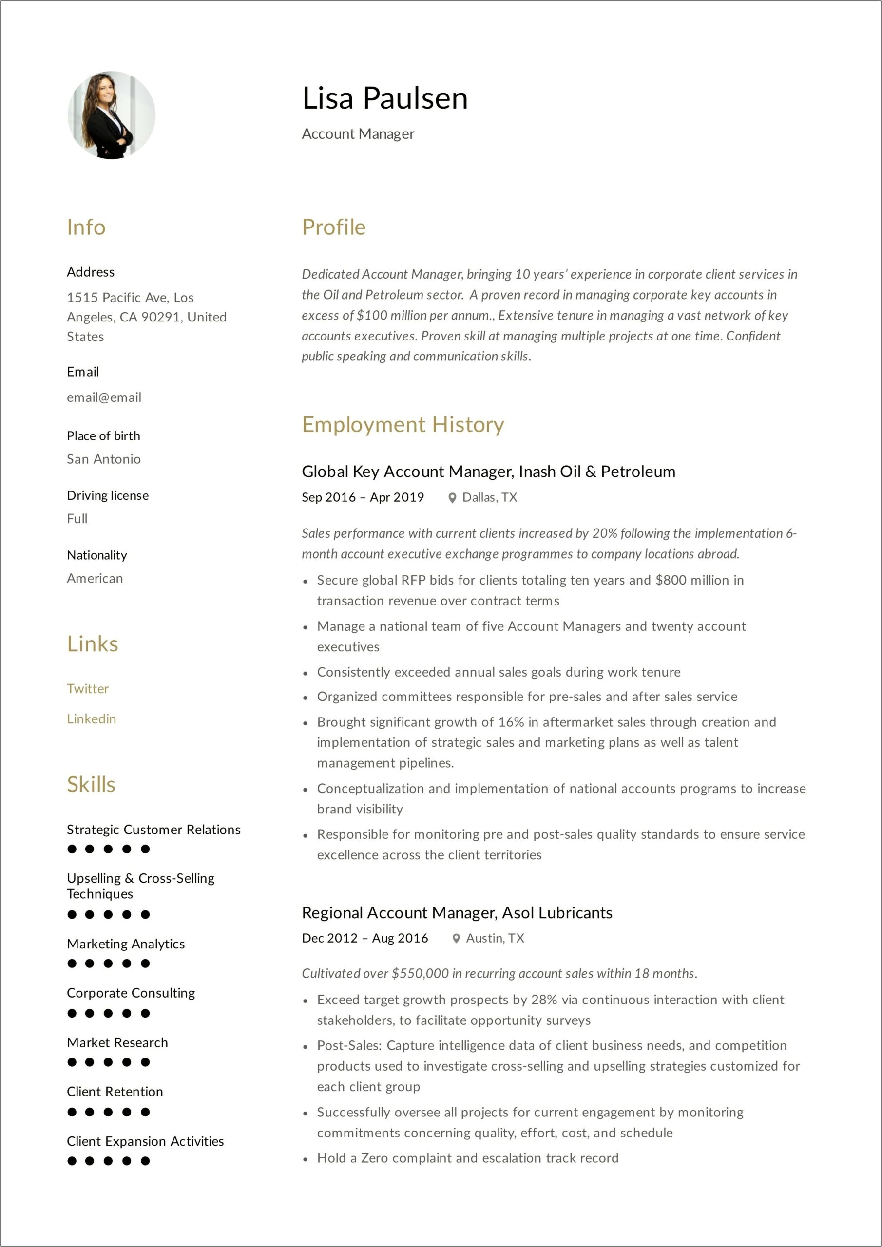 Resume Samples For New Account Manager Position