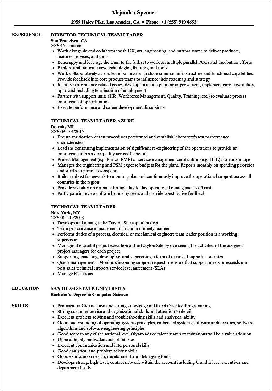 Resume Samples For Technical Lead