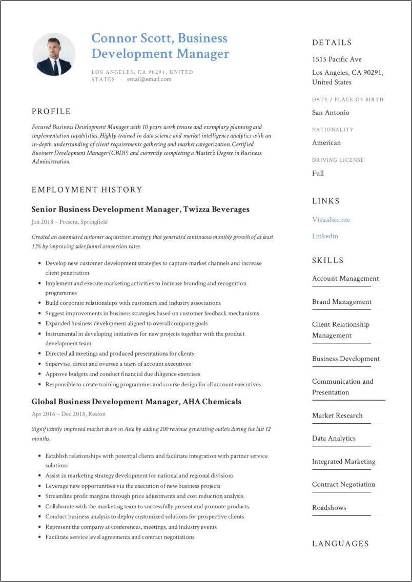 Resume Summary Business Development Manager