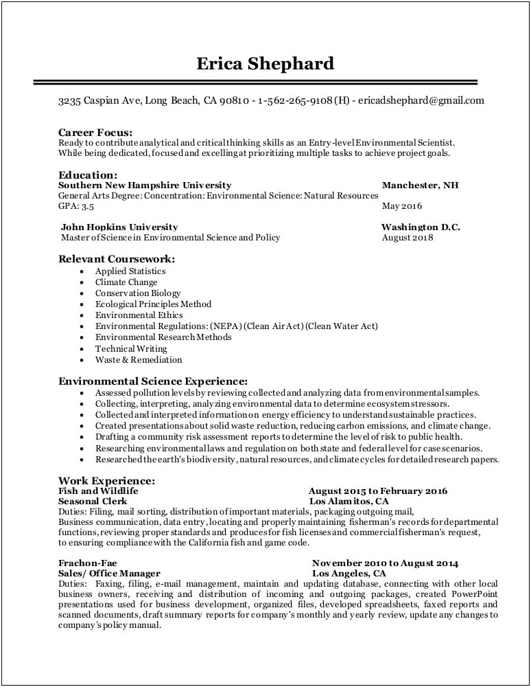 Resume Summary Example Entry Level Office