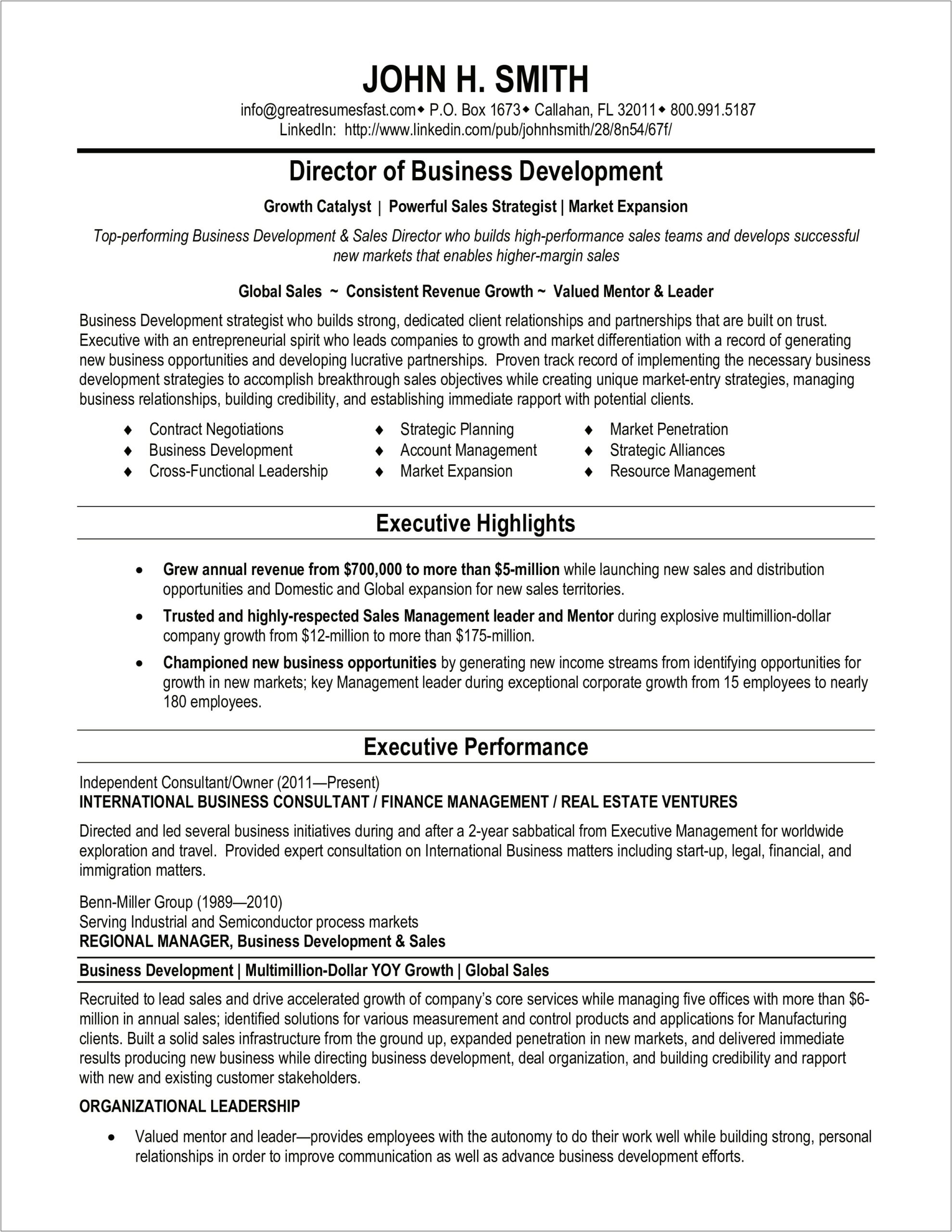 Resume Summary Example For A Business Development