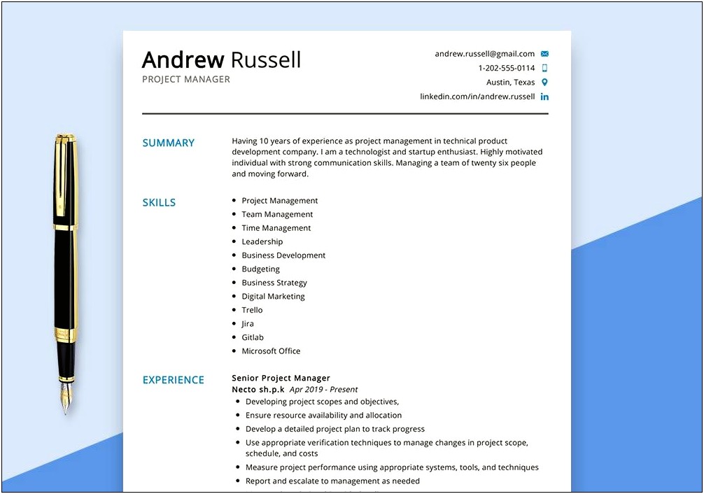 Resume Summary Example Project Manager