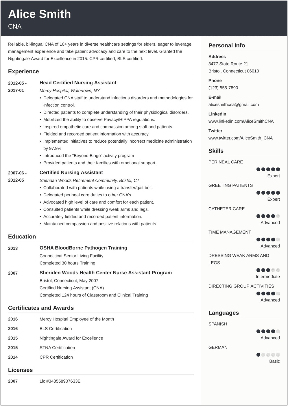 Resume Summary Examples Entry Level Cna