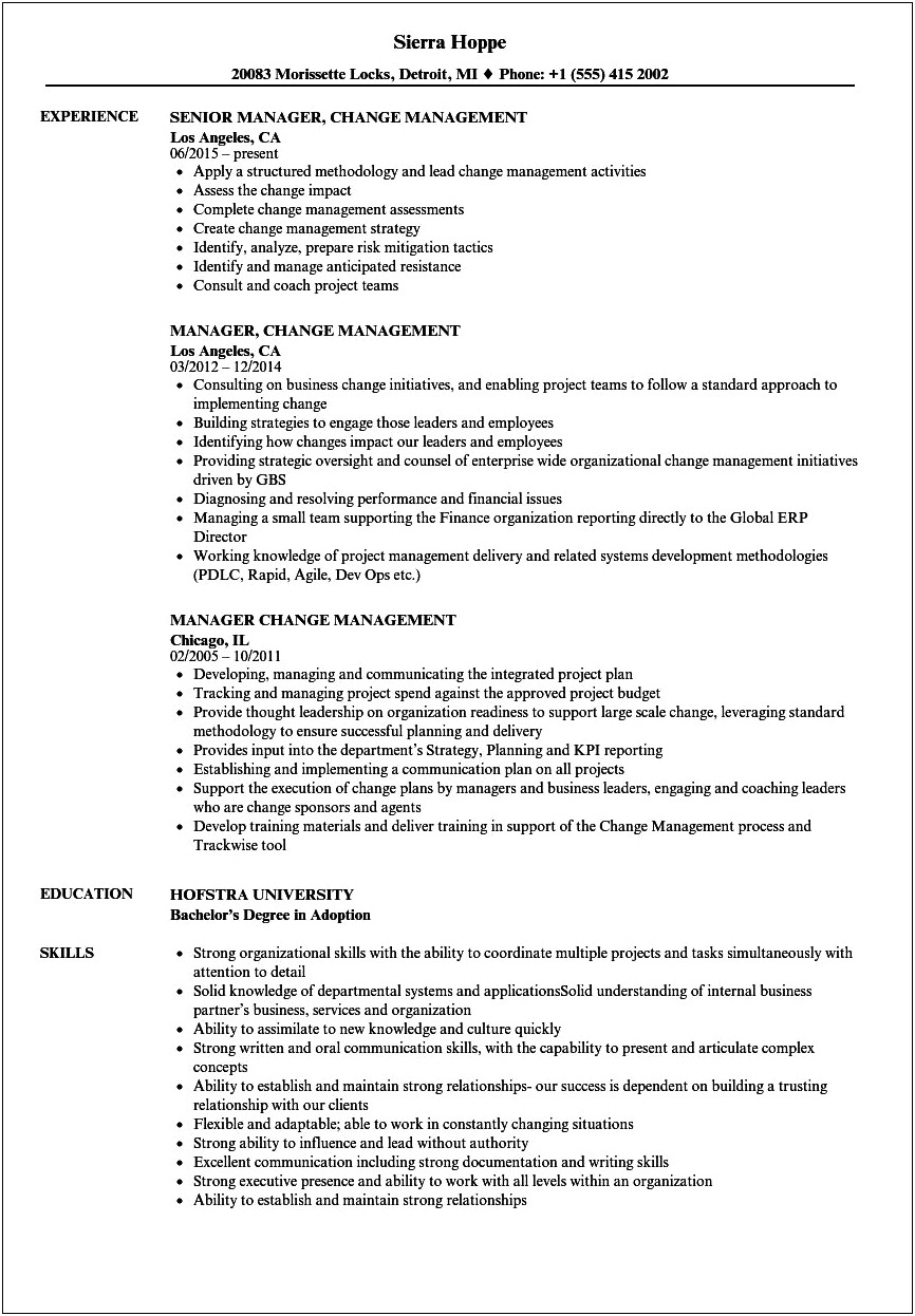 Resume Summary Examples For Change Management Administrator