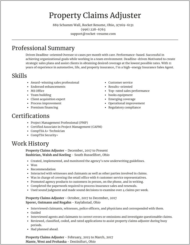 Resume Summary Examples For Claims Adjuster