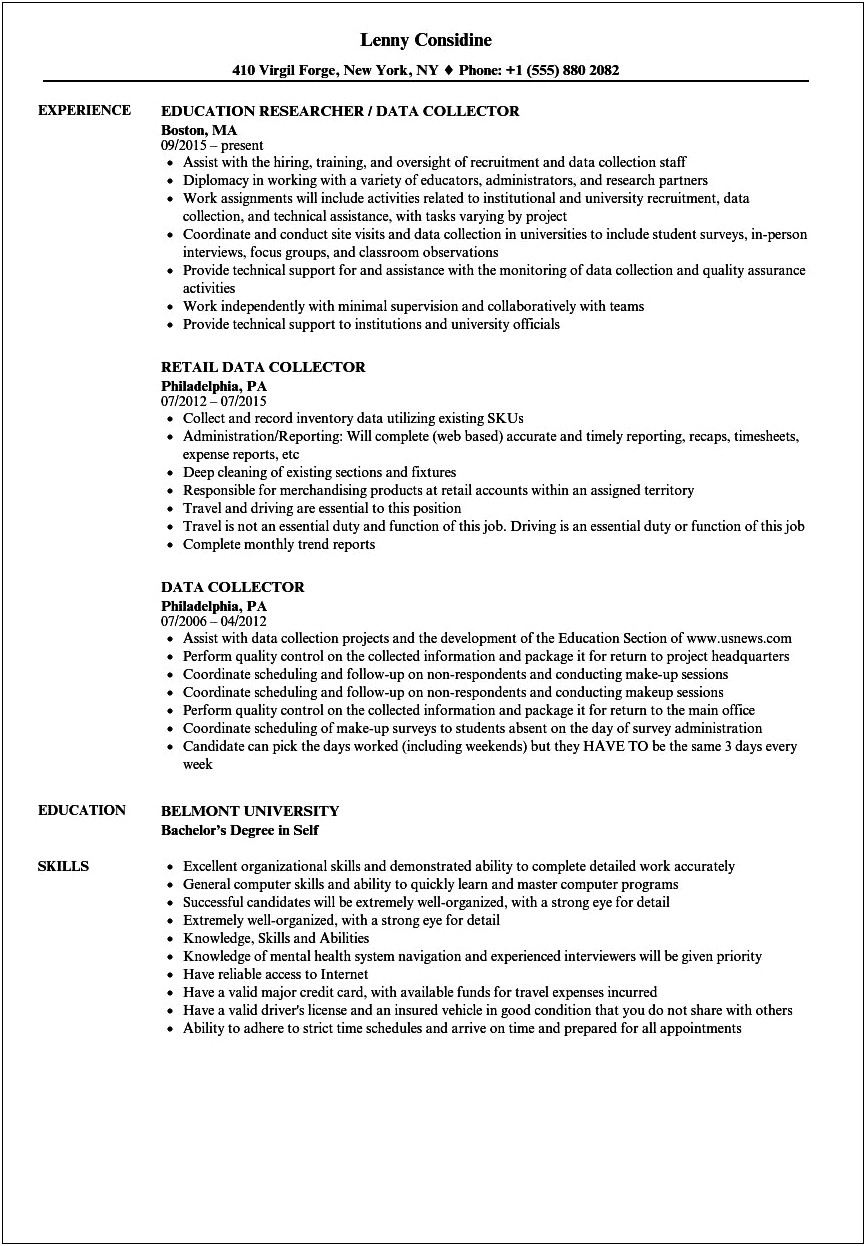 Resume Summary Examples For Collector