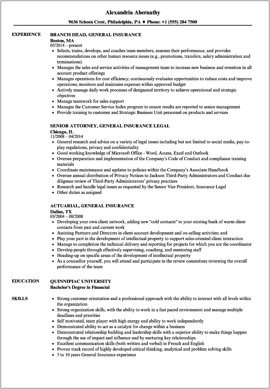 Resume Summary Examples For Insurance