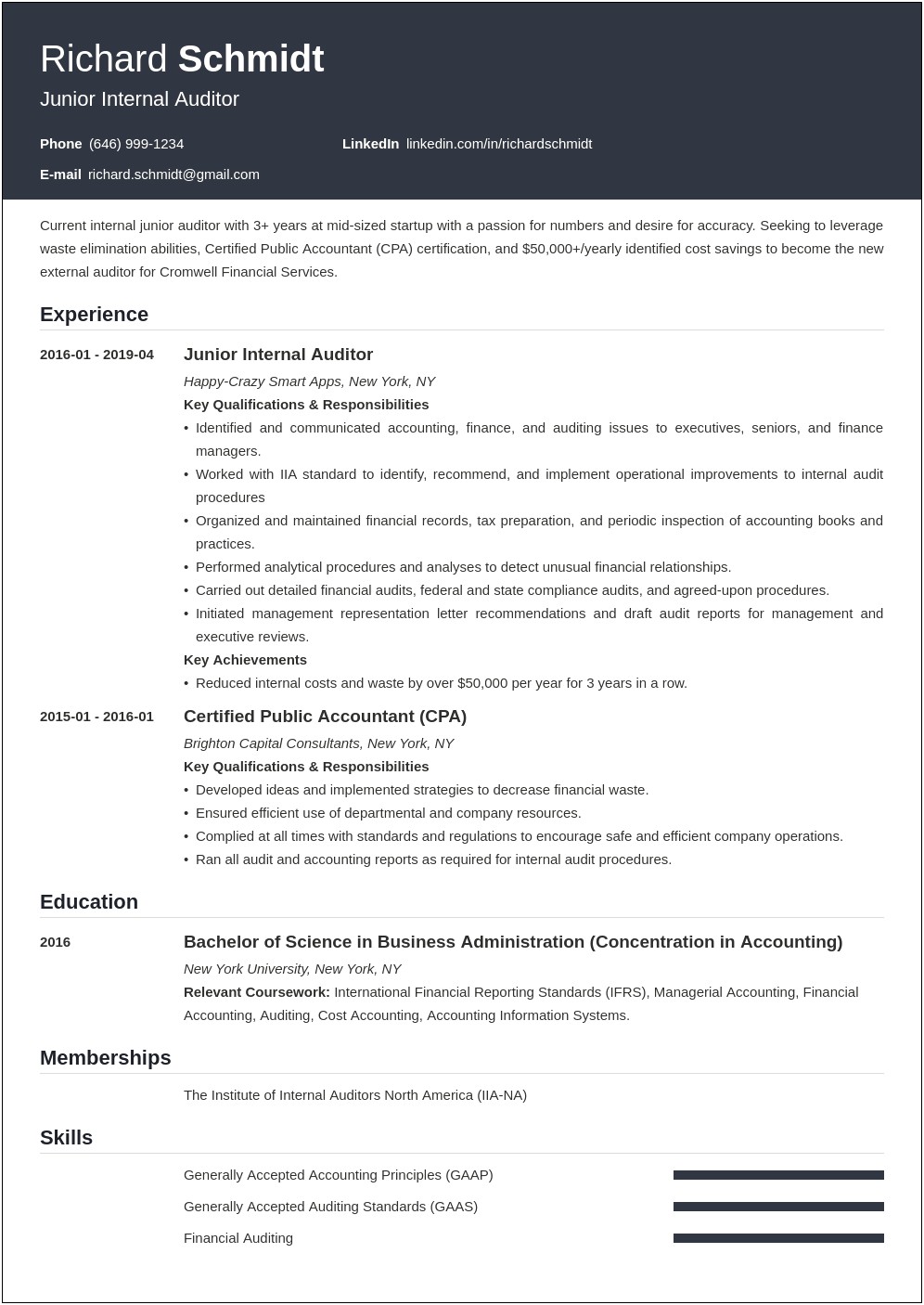 Resume Summary Examples For Internal Auditor