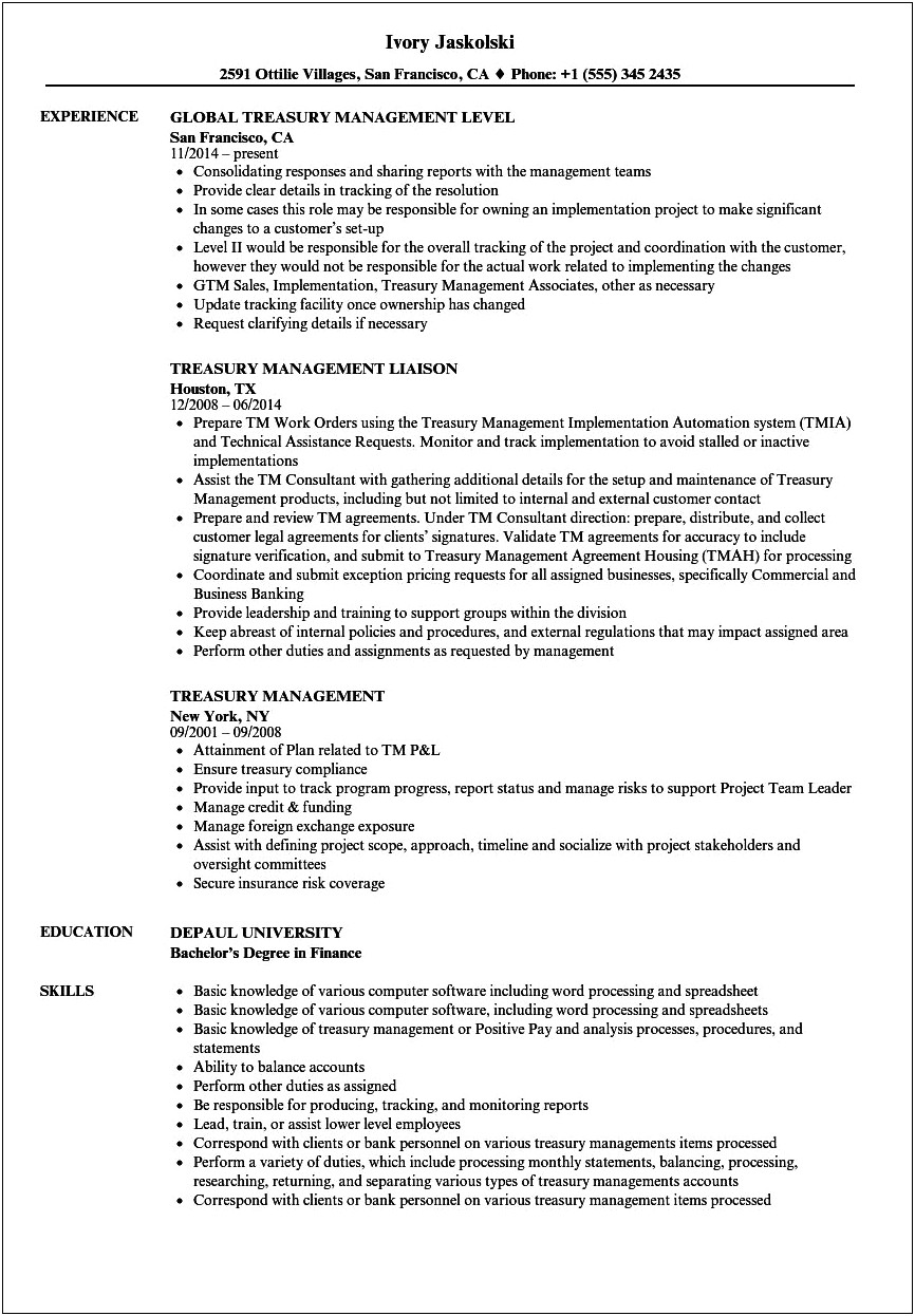 Resume Summary Examples For Treasurer