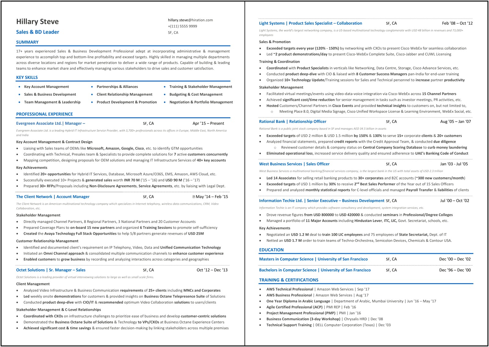 Resume Summary Examples Sales Associate