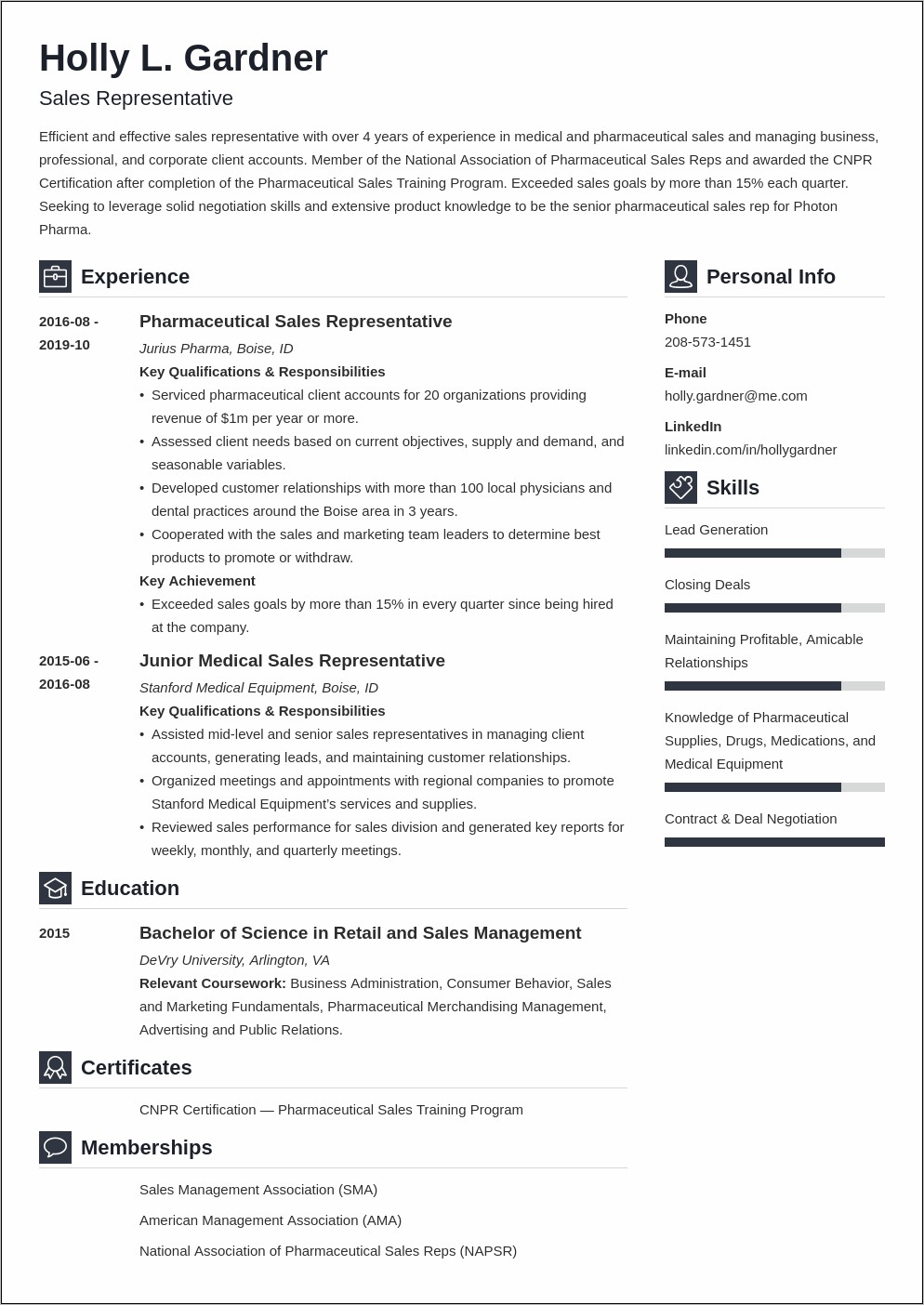 Resume Summary Examples Sales Business