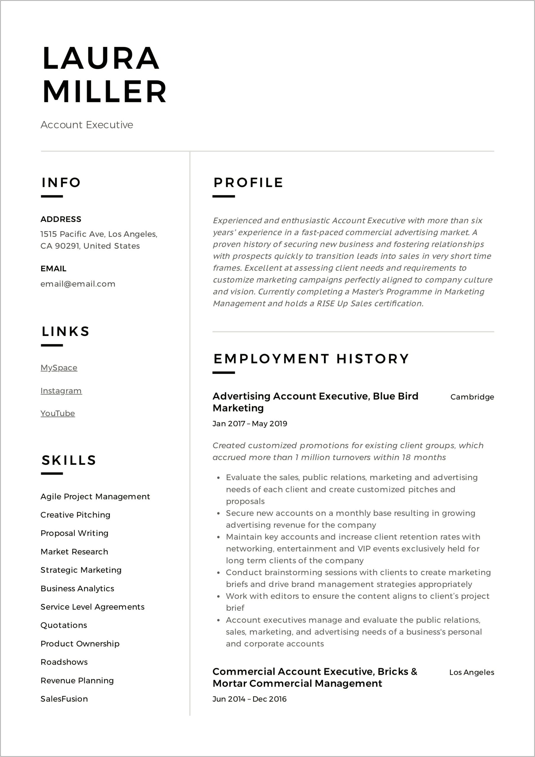 Resume Summary For Account Manager
