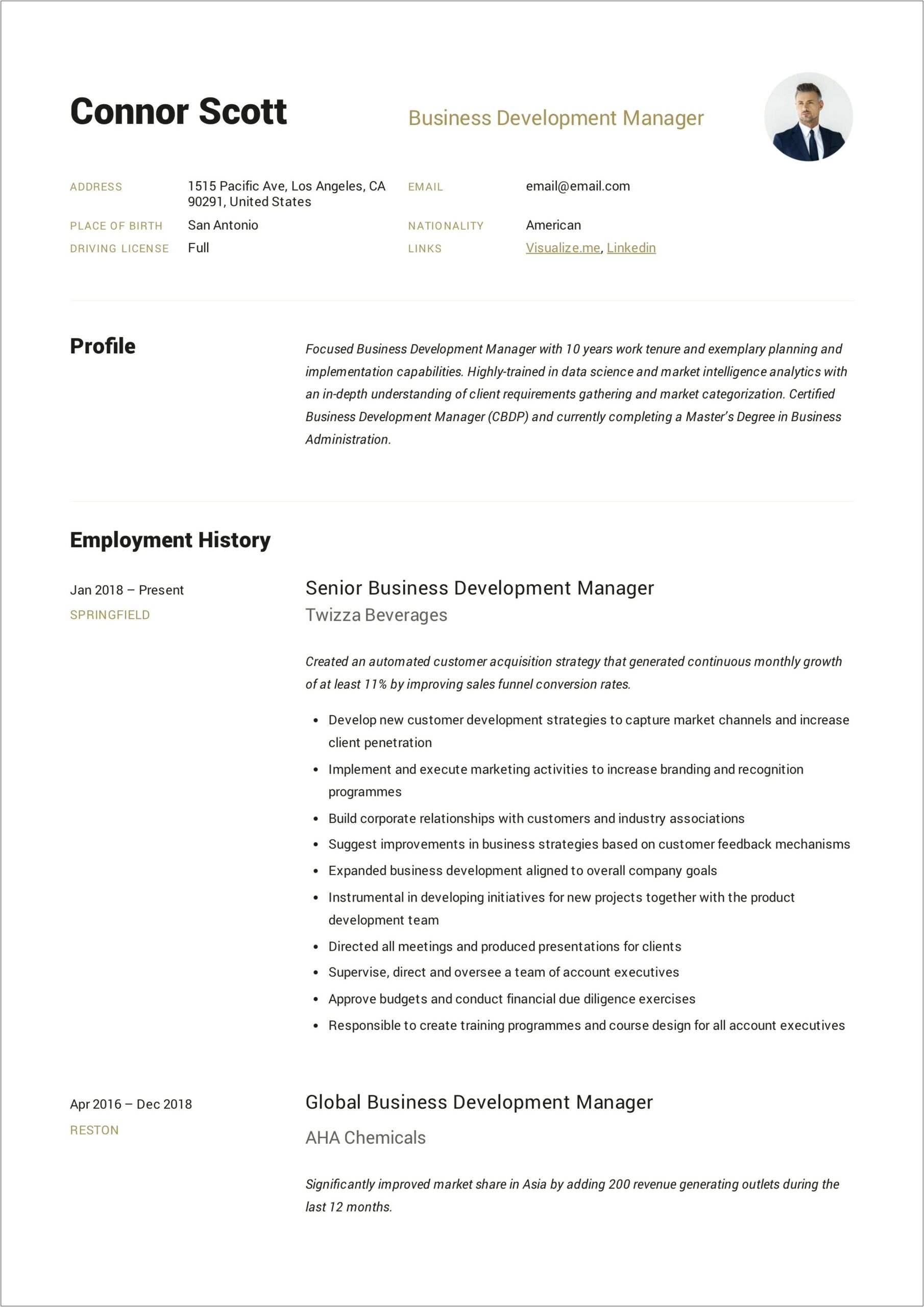 Resume Summary For Business Development Executive