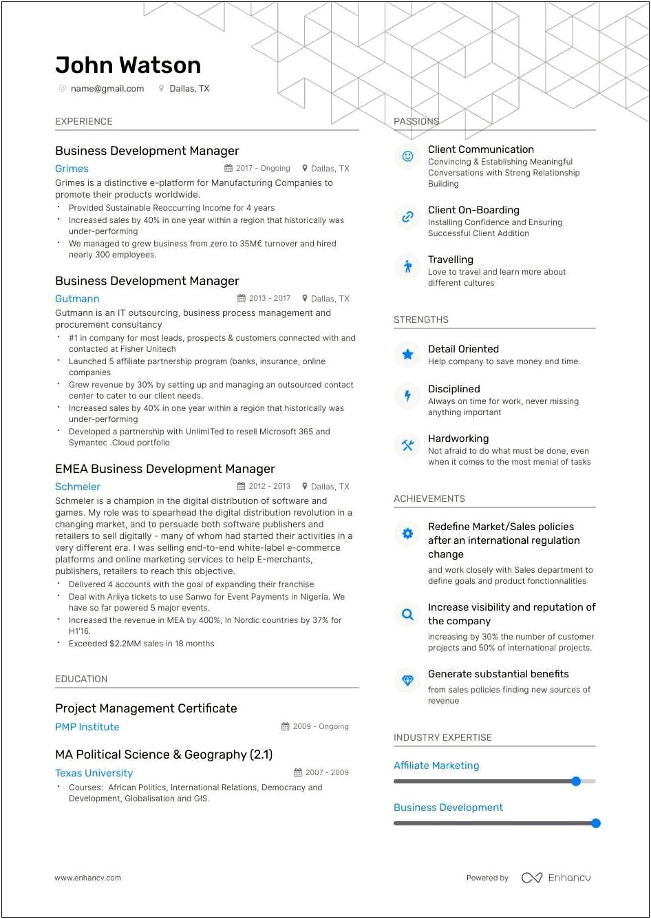 Resume Summary For Business Development Manager
