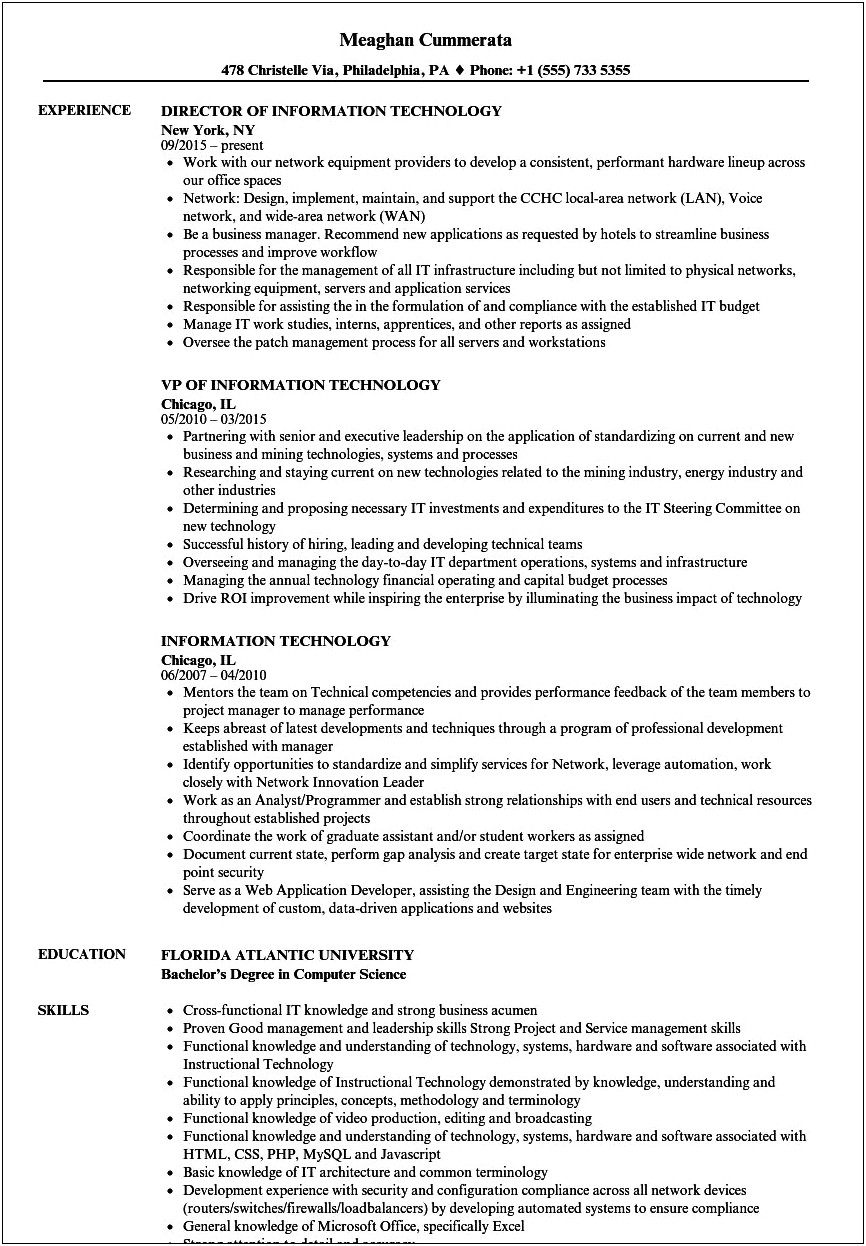 Resume Summary For Information Technology Major Sample