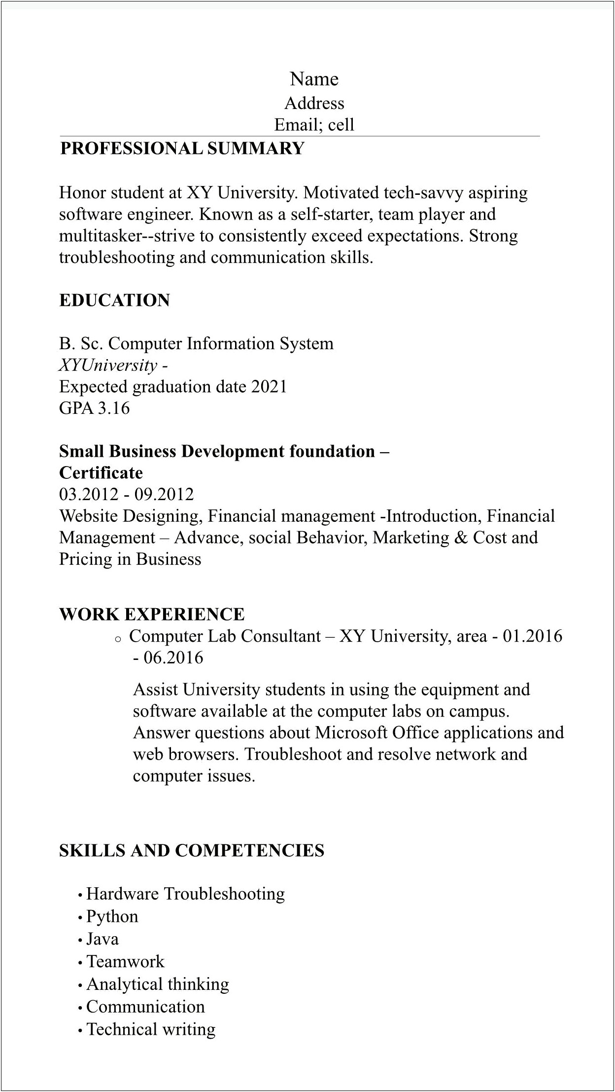 Resume Summary For Someone Who Is Tech Saavy