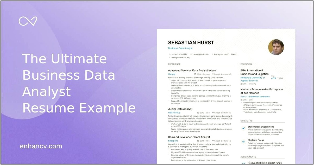 Resume Summary Of Accomplishments Data Analyst