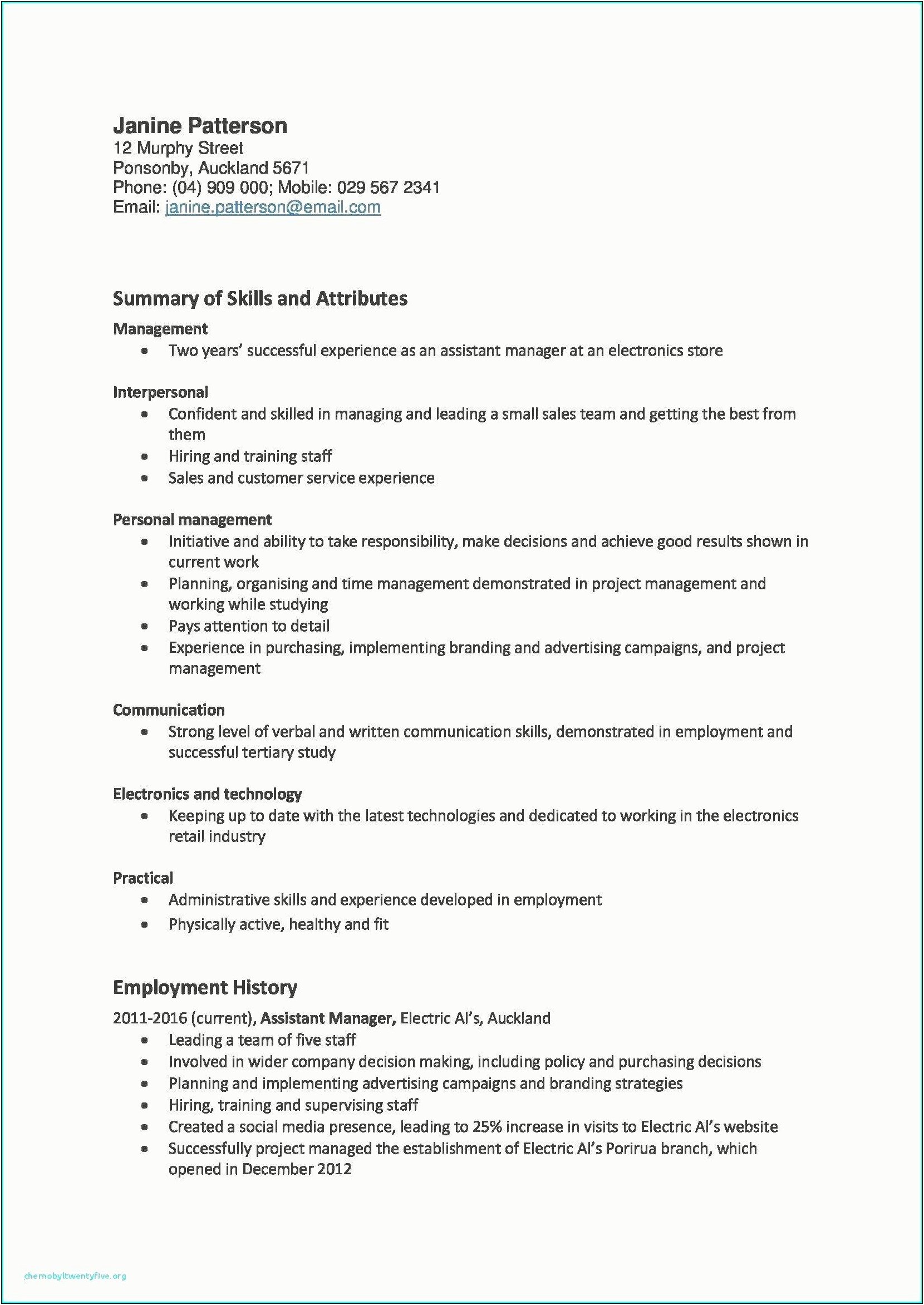 Resume Summary Project Manager Digital