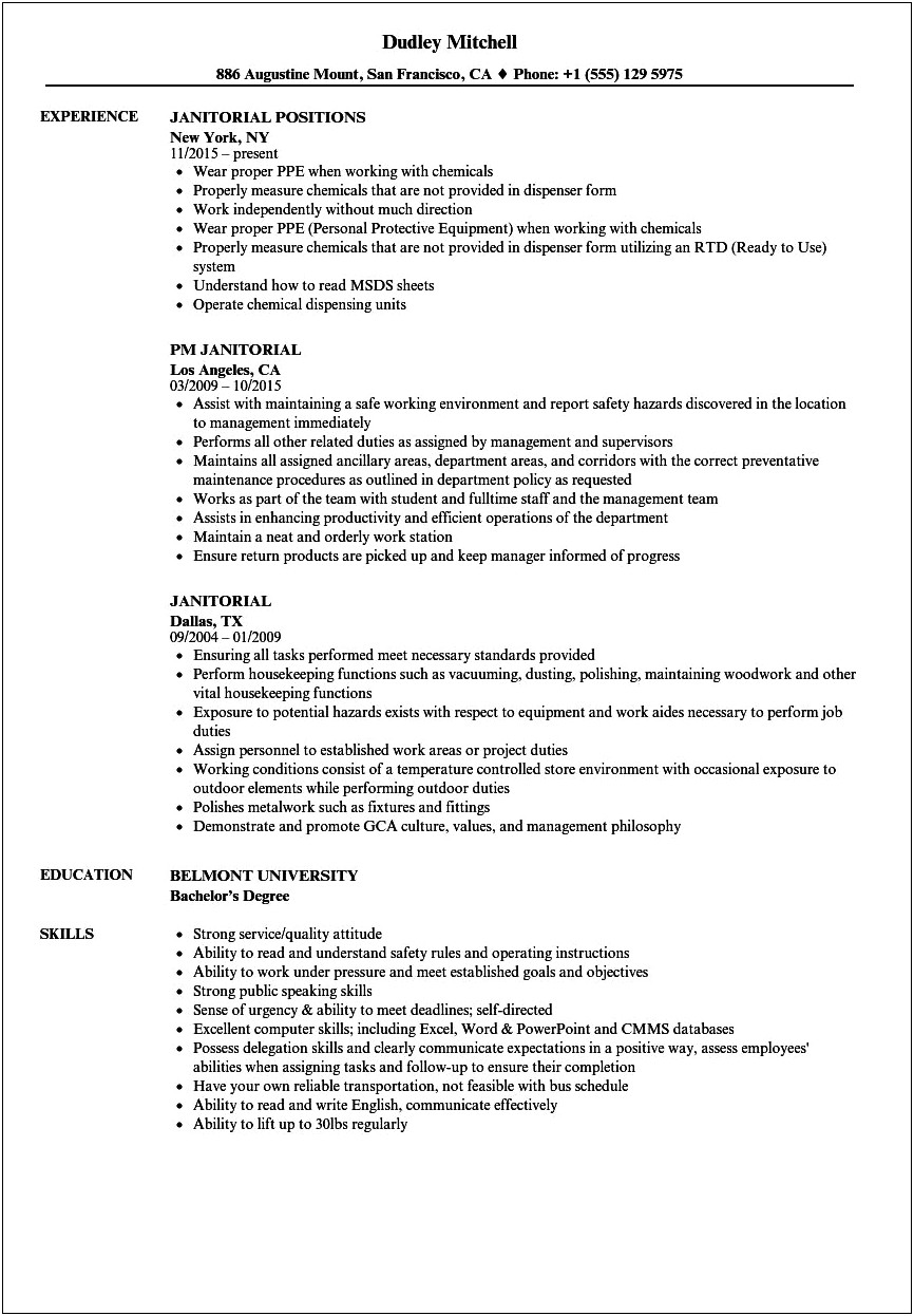 Resume Summary Sample For Custodian