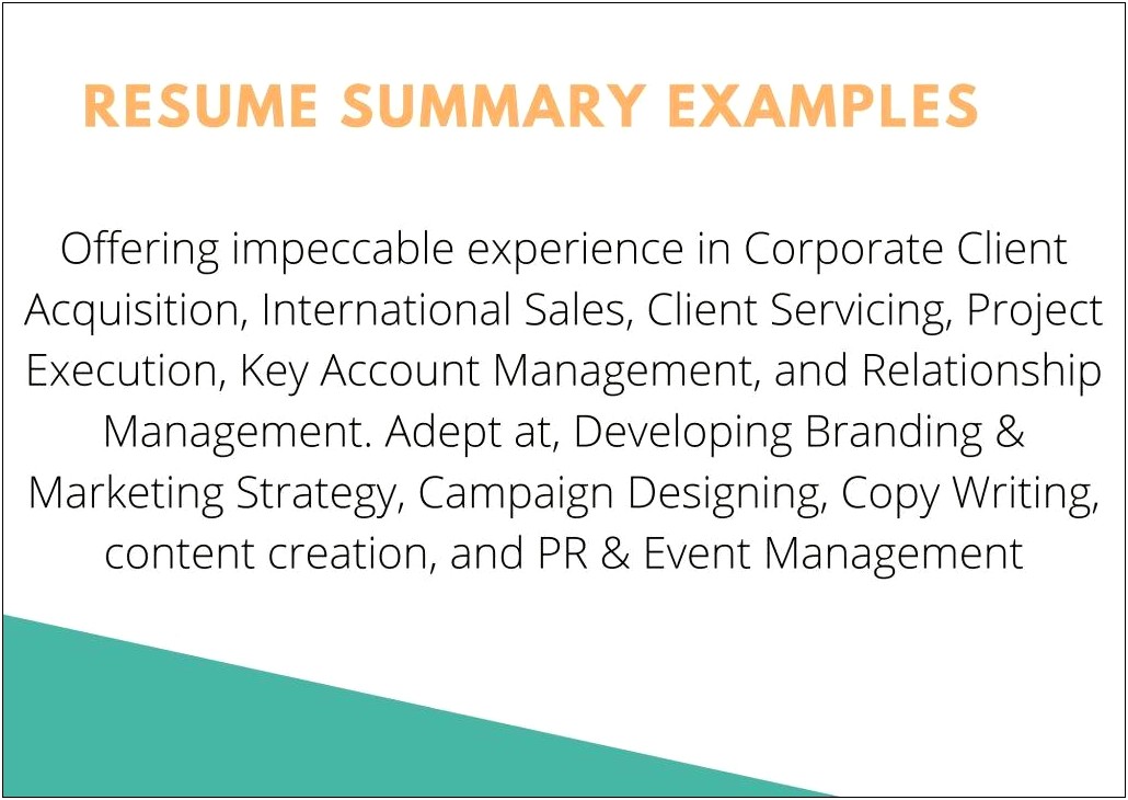 Resume Summary Statement Examples For Sales
