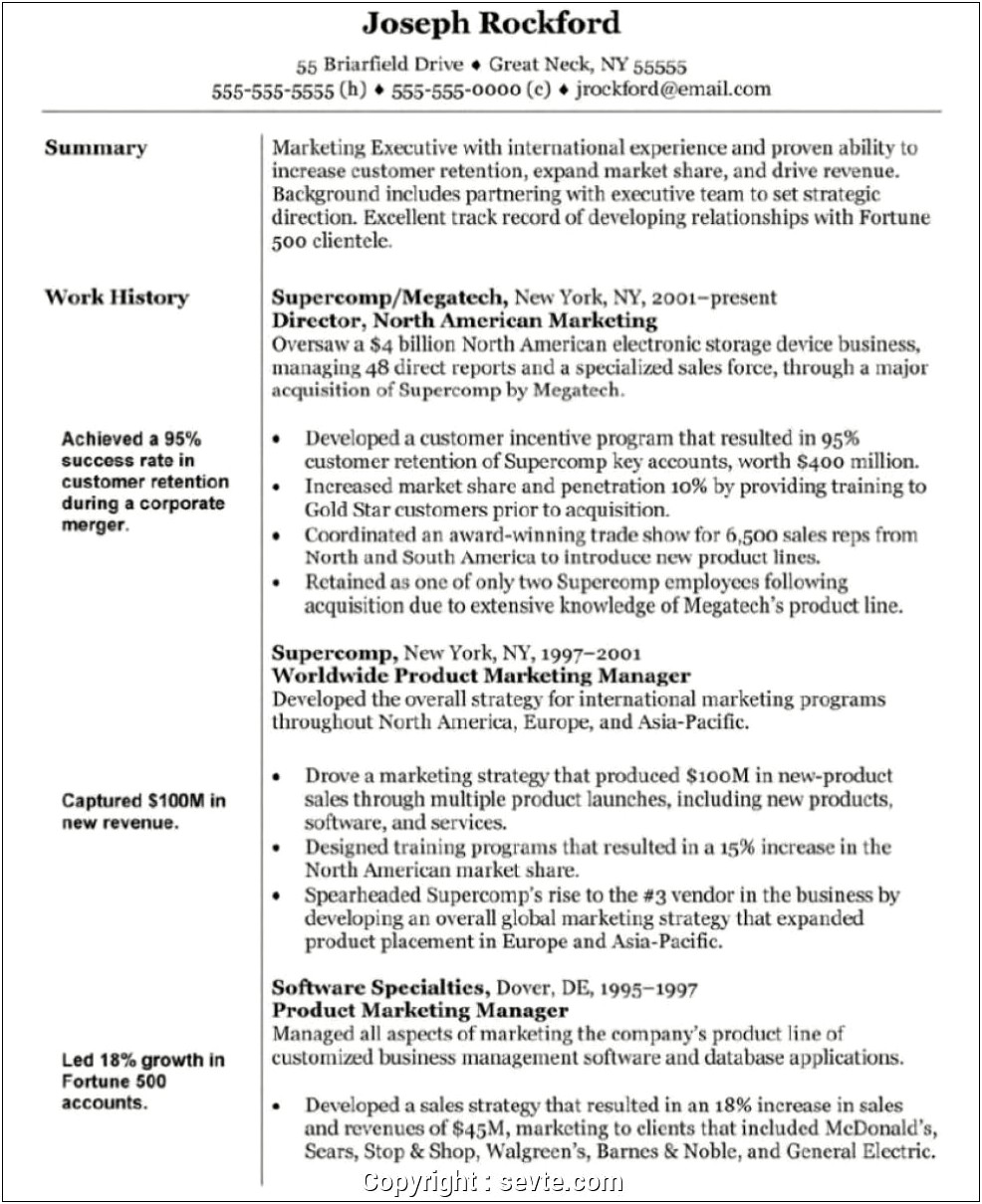 Resume Summary Statement Examples Marketing