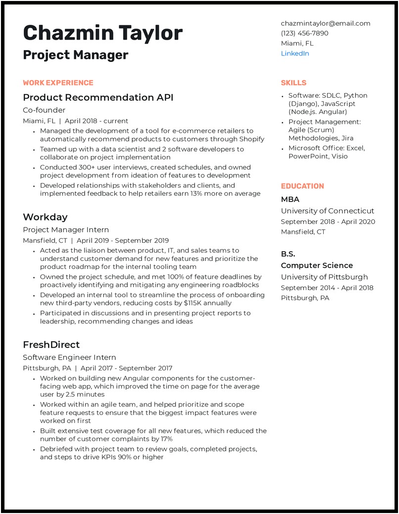 Resume Summary Statement Examples Project Manager
