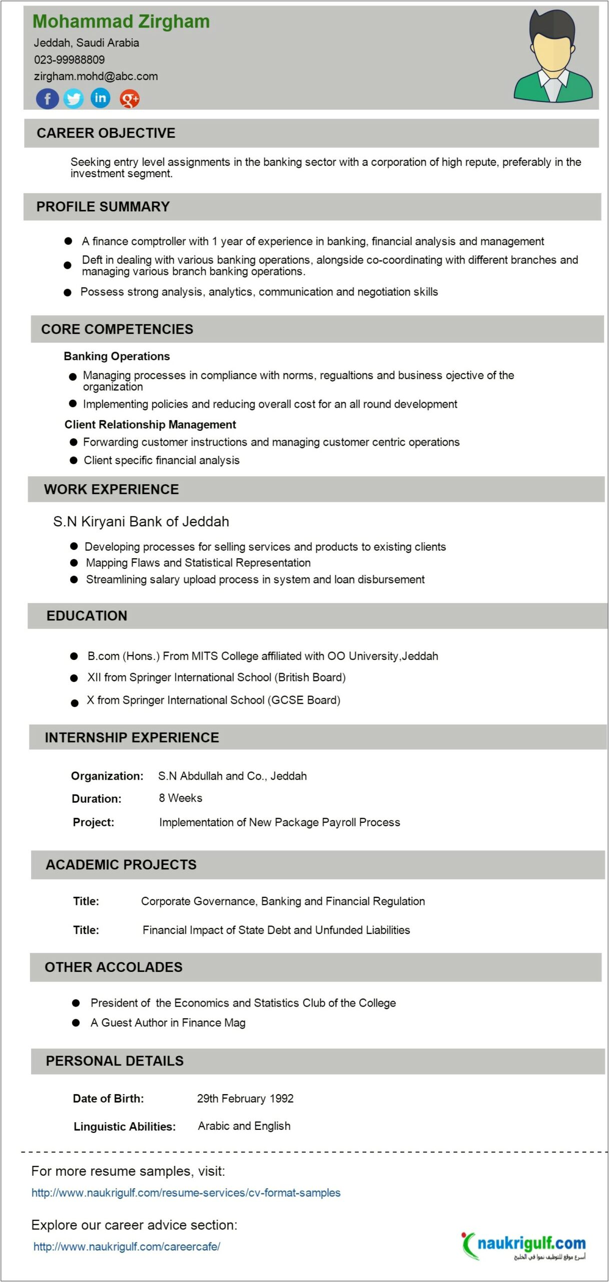 Resume Summary Statement For Various Financial Jobs
