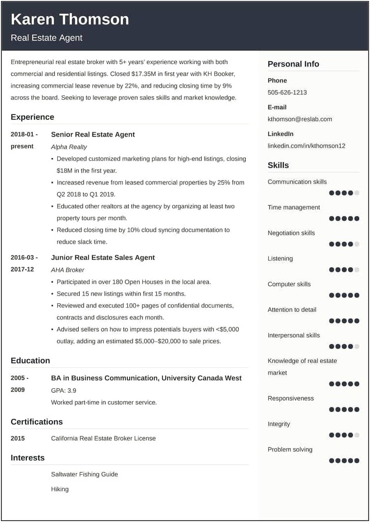 Resume Summary Template Of An Achiever