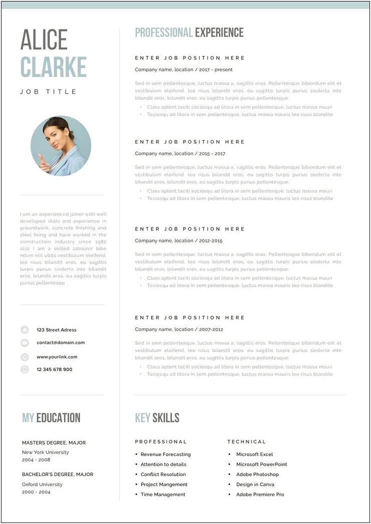 Resume Template Professional Free Download