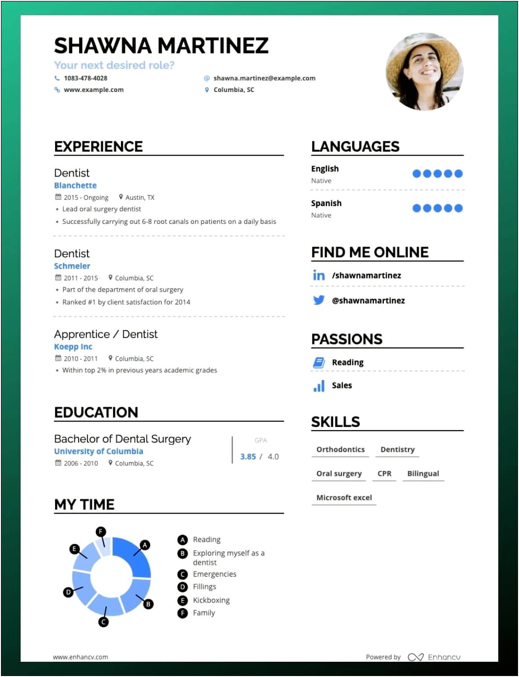 Resume Template With Overview Of Sections