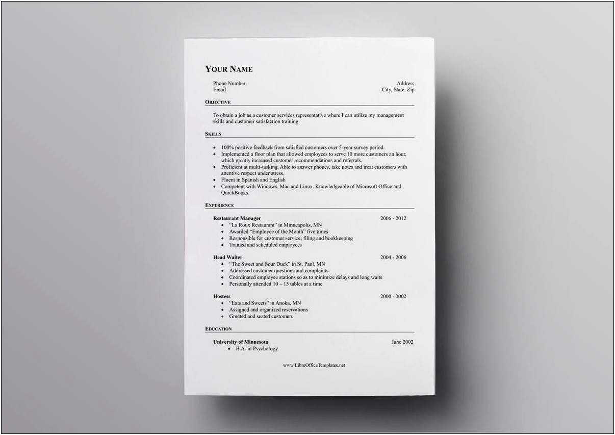 Resume Template With Results In Margin