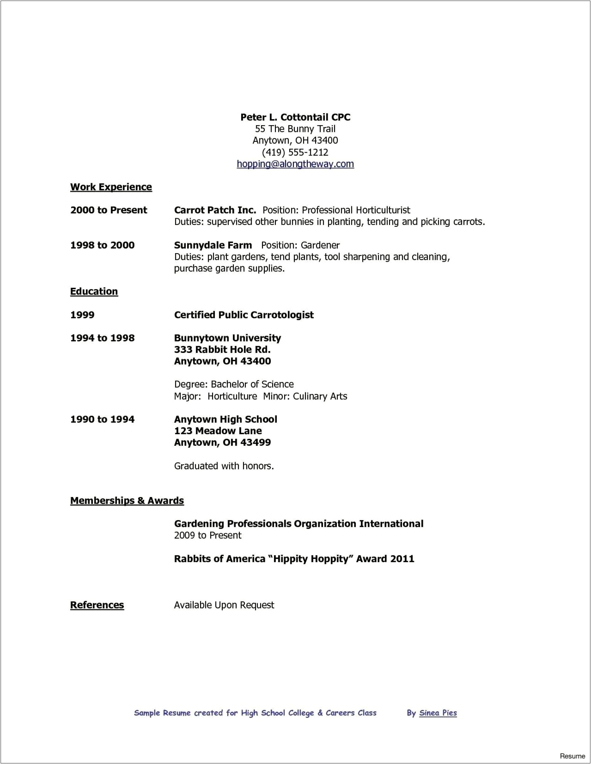 Resume Templates For High School Students No Experience