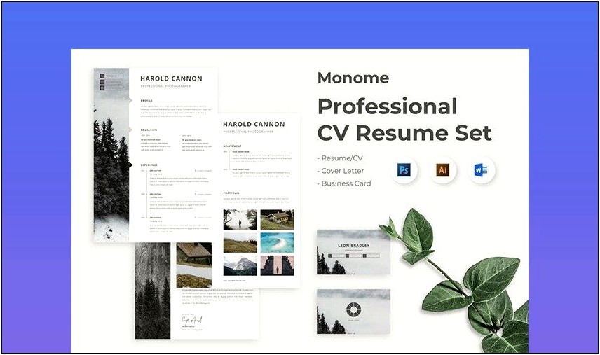 Resume Templates In Open Office 4