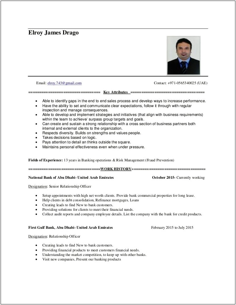 Resume To Work In Bank In Fraud Prevention