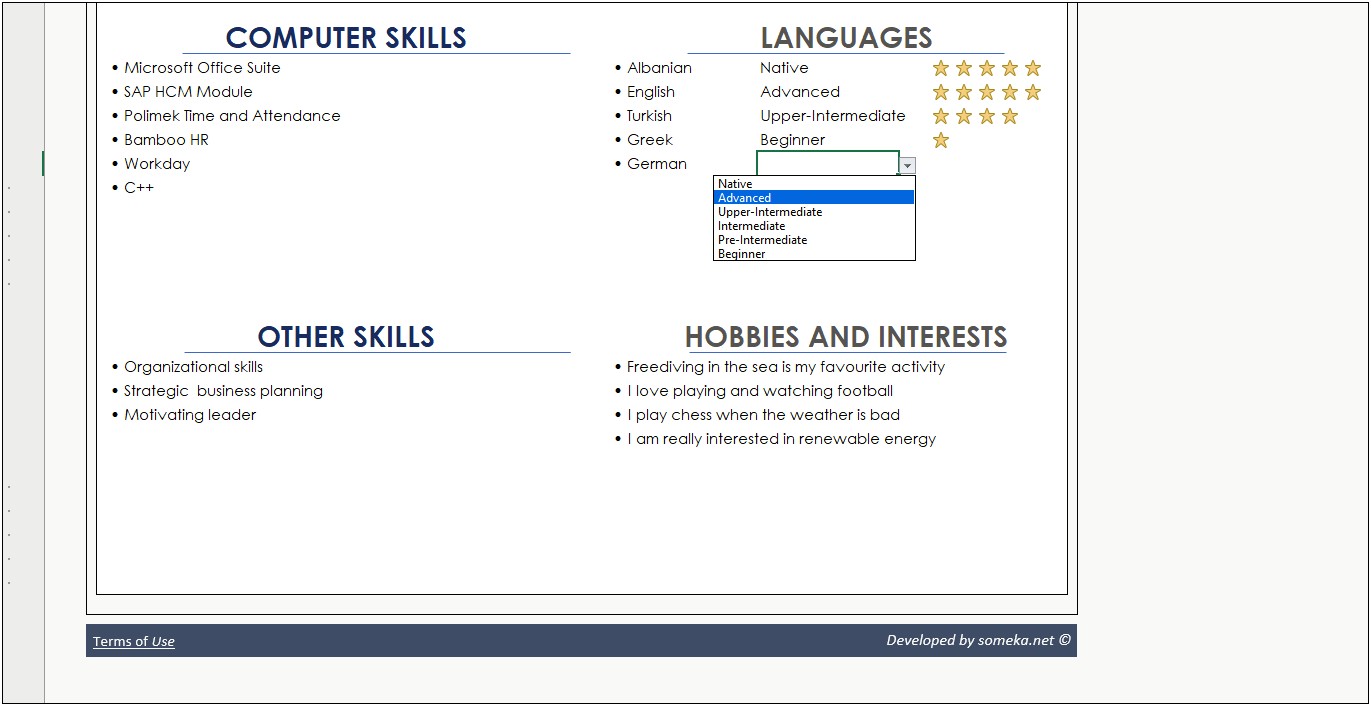 Resume With Knowledge Skills Abut Excel Midium