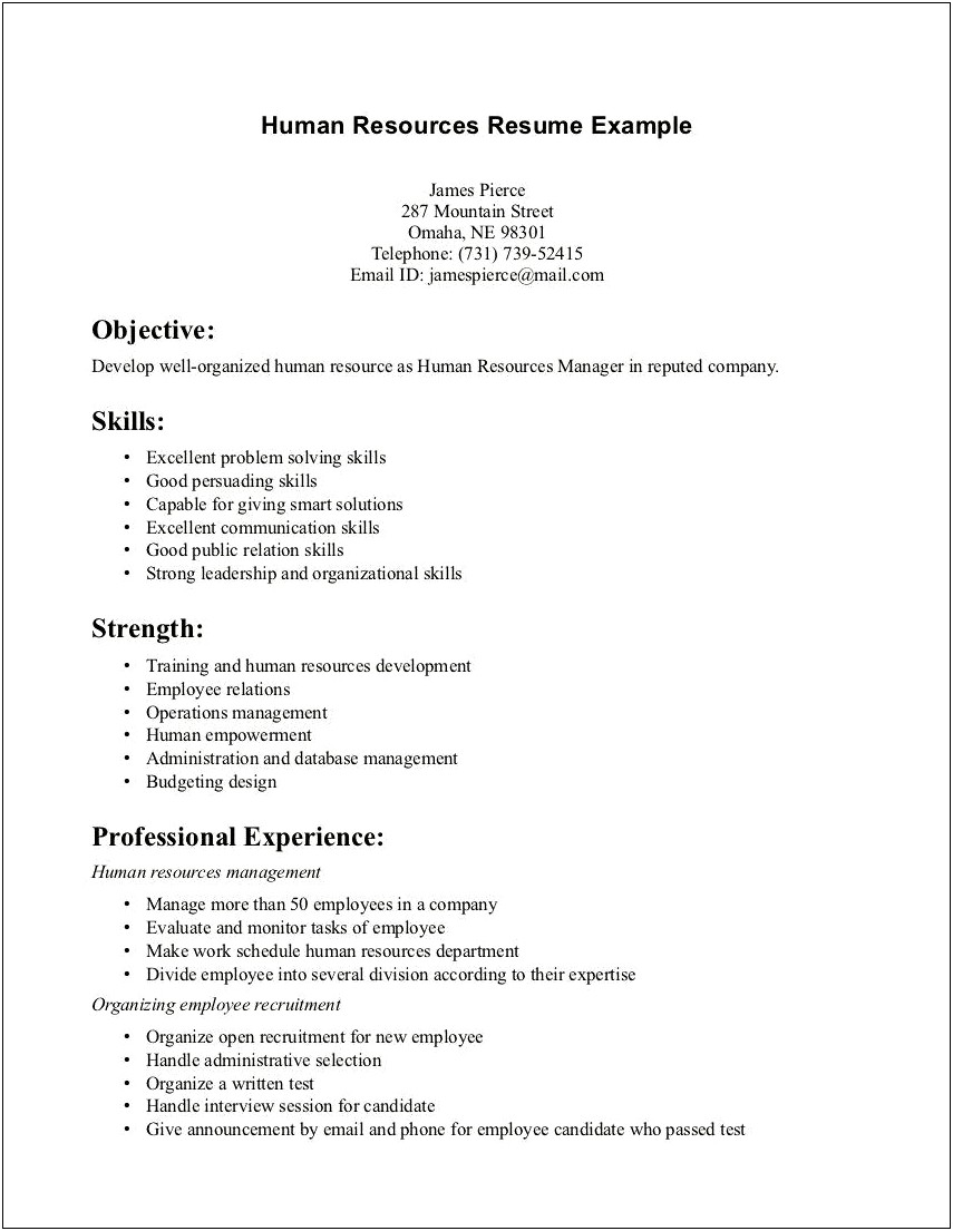 Resume With One Job Experience
