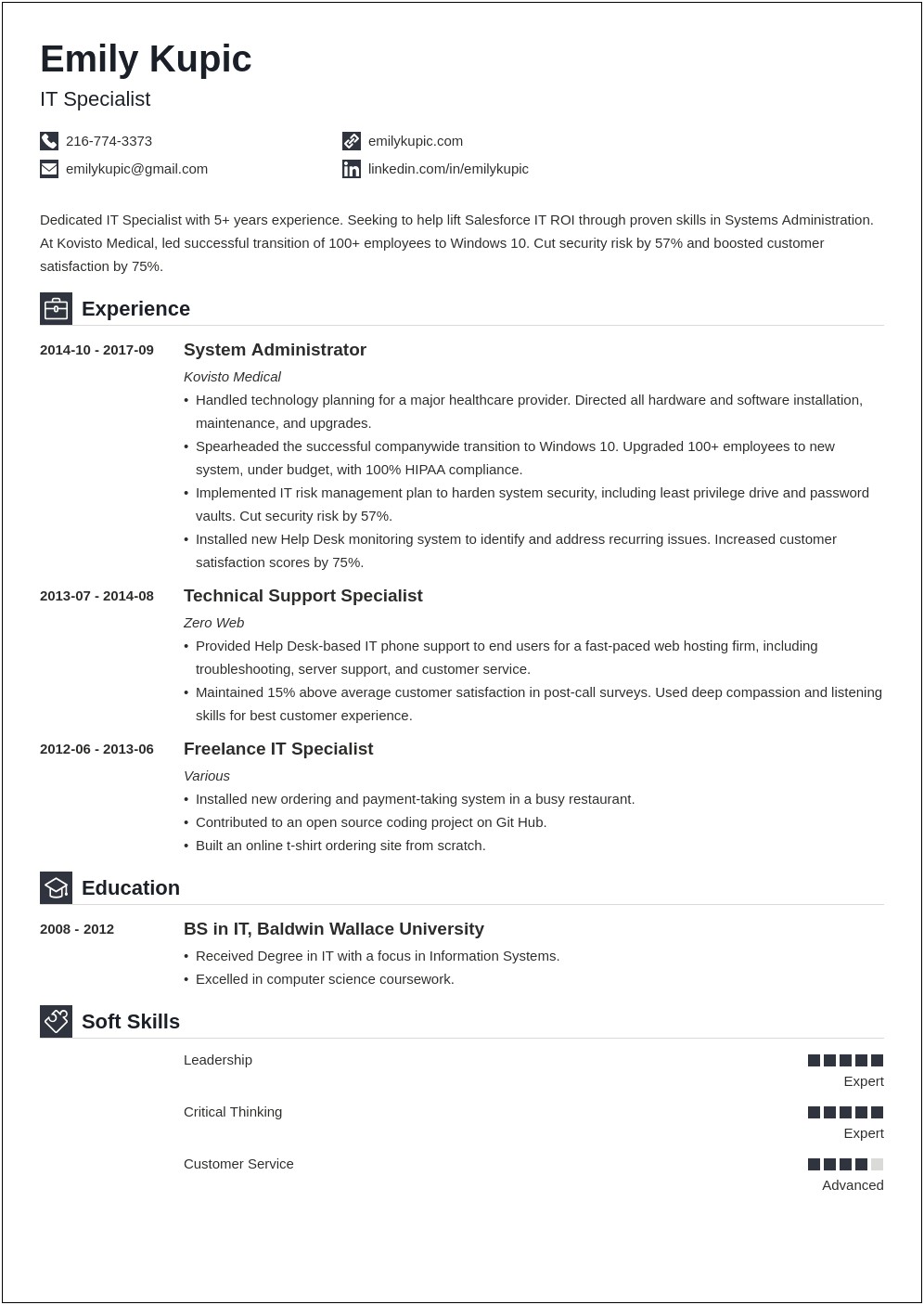 Resume With Technical Skills Sample