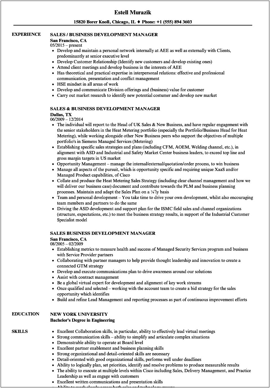 Retail Business Development Manager Resume